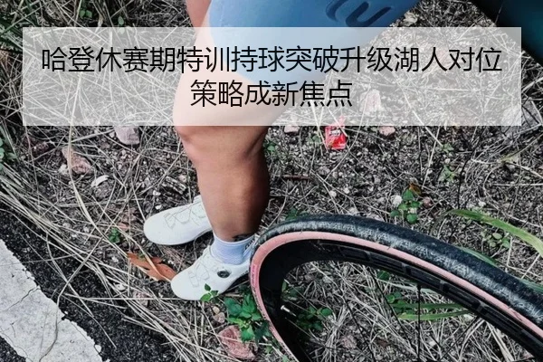 哈登休赛期特训持球突破升级湖人对位策略成新焦点（BoWanSports）